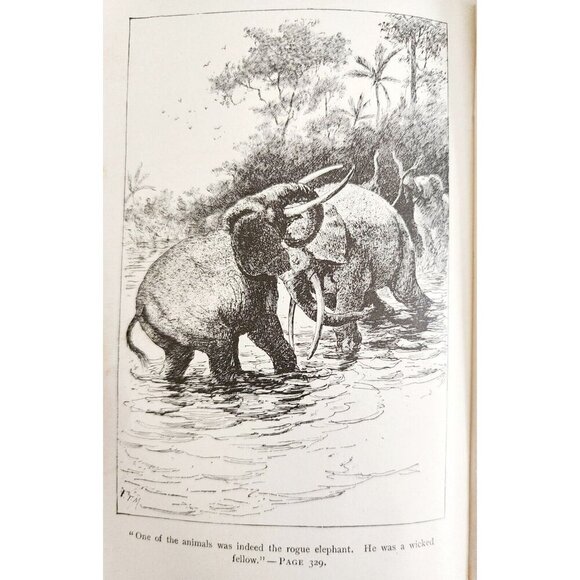 1889 Kibboo Ganey Wentworth 1st Edition Victorian HC Book Africa Adventure WHBS - Picture 4 of 9